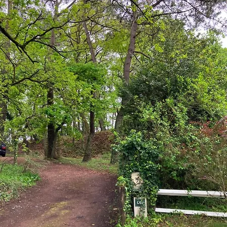 Сasa de vacaciones En Foret