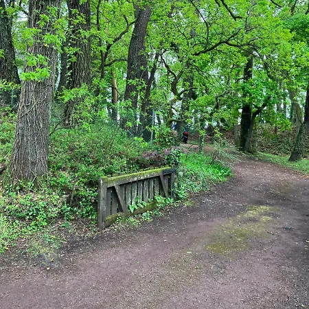 Сasa de vacaciones En Foret *