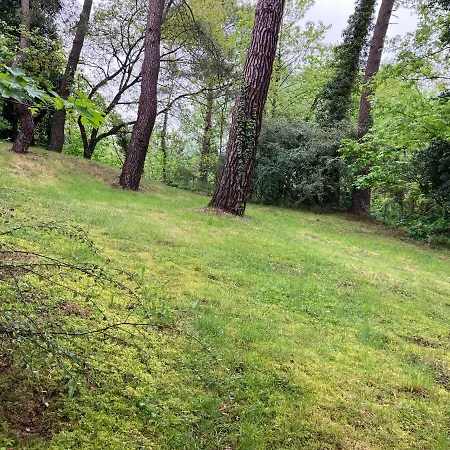 En Foret Сasa de vacaciones Le Touquet