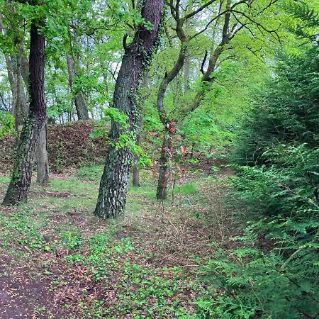 Сasa de vacaciones En Foret