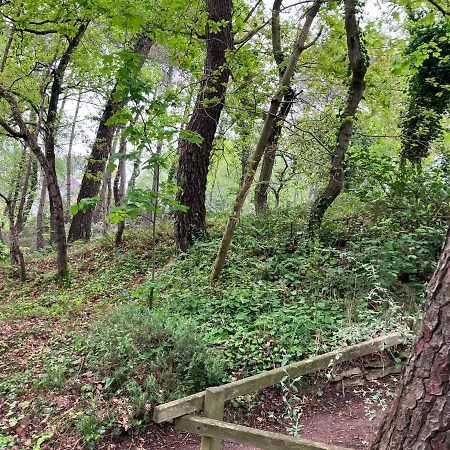 Сasa de vacaciones En Foret