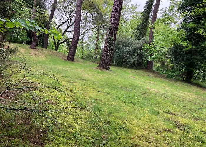 En Foret 펜션 Le Touquet